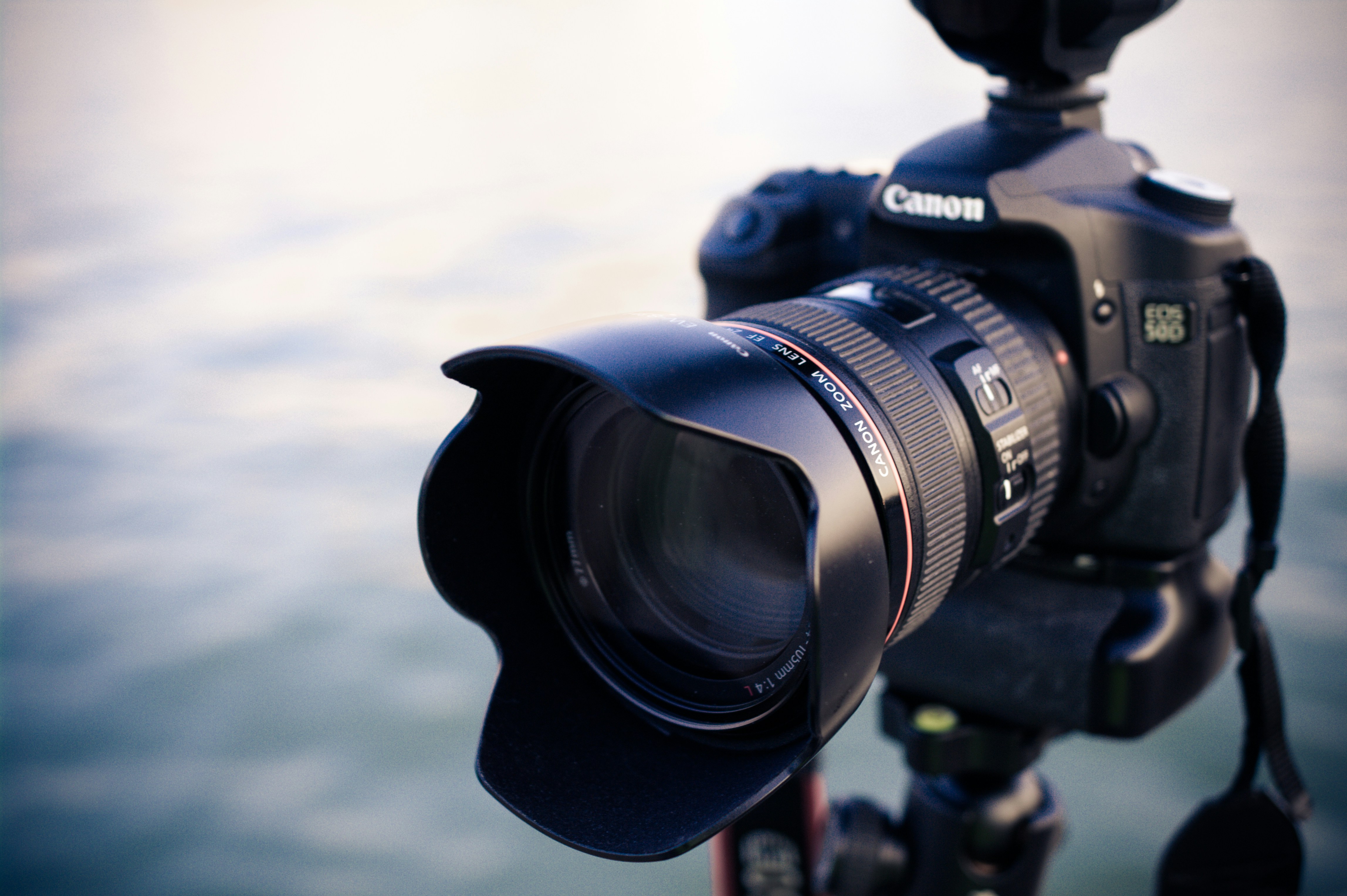 Professional cameras